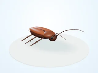 Render 3D orientativo de cucarachas