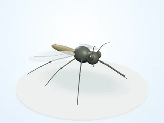 Render 3D orientativo de zancudos